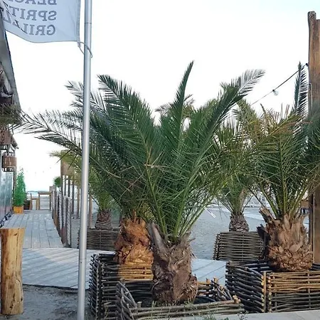 Apartment Aproape De Mare - Mamaia Nord